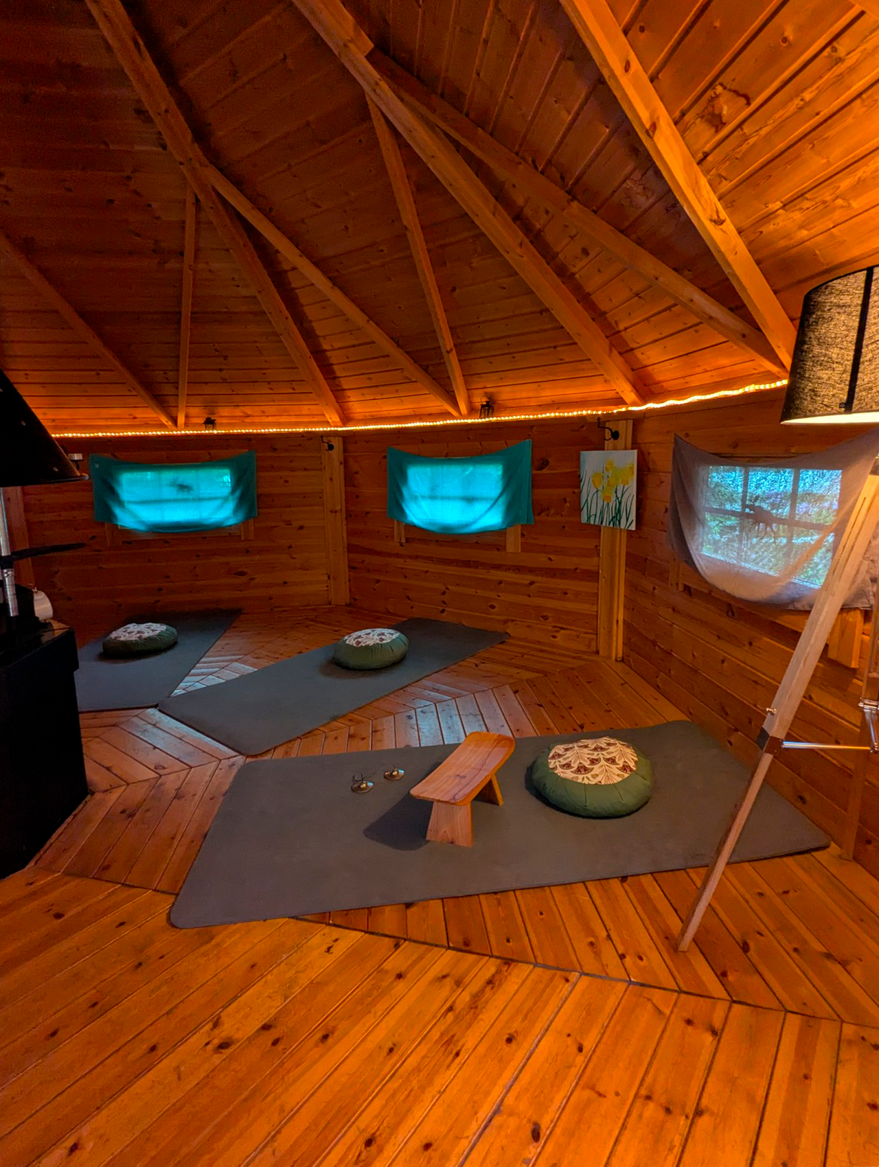 la jonquille meditation pleine conscience